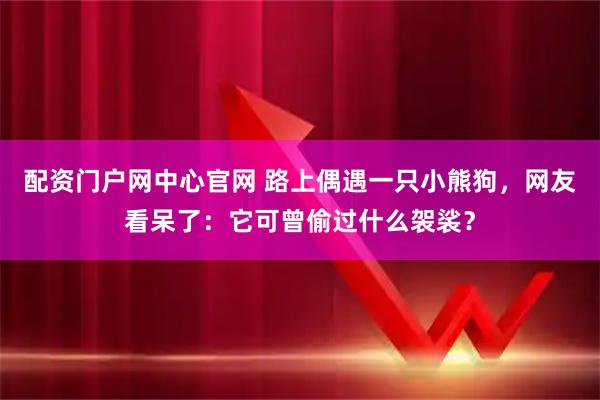 配资门户网中心官网 路上偶遇一只小熊狗，网友看呆了：它可曾偷过什么袈裟？