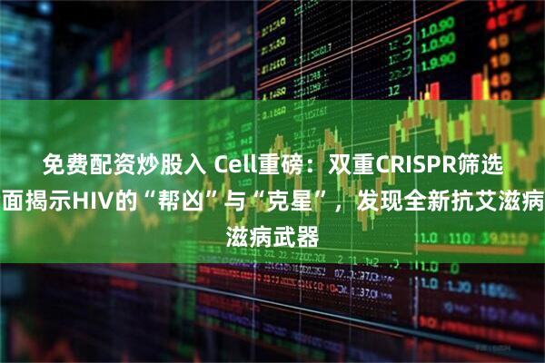 免费配资炒股入 Cell重磅：双重CRISPR筛选，全面揭示HIV的“帮凶”与“克星”，发现全新抗艾滋病武器